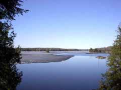 Eels Lake view-spring
